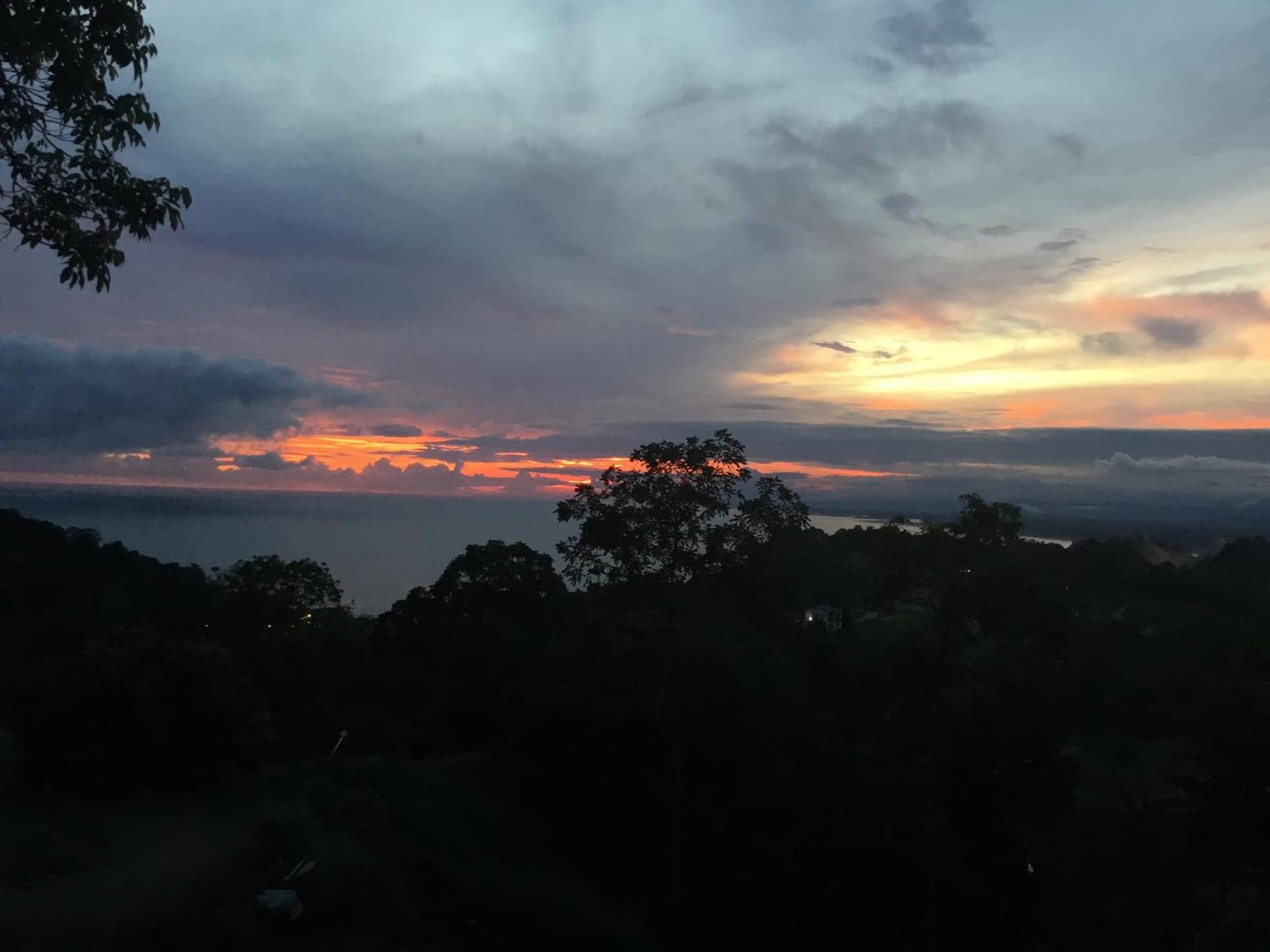 Апартаменты Rose House Manuel Antonio Кепос Экстерьер фото